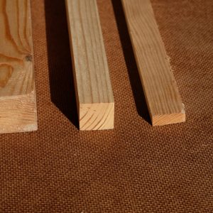 פרופיל אורן